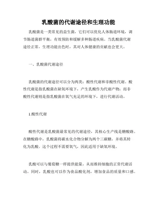 乳酸菌的代谢途径和生理功能