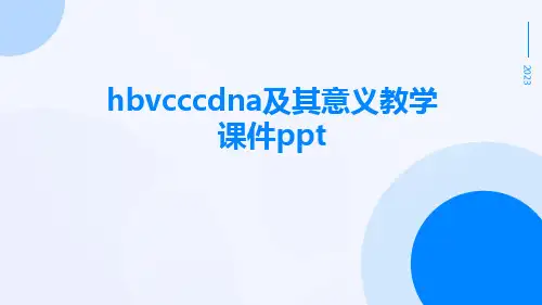 HBVcccDNA及其意义教学课件ppt