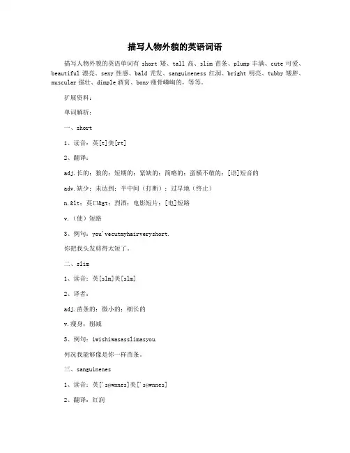 描写人物外貌的英语词语