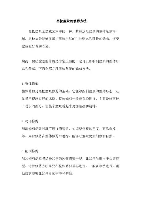 黑松盆景的修剪方法