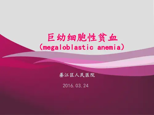 巨幼细胞性贫血最新版本