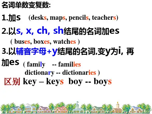 名词单复数名词所有格物主代词用法及练习题课件