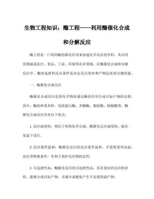 生物工程知识：酶工程——利用酶催化合成和分解反应
