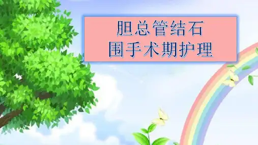 胆管结石的护理 ppt课件