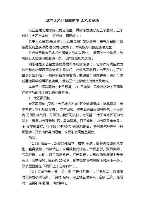 武当太乙门洞藏绝技-太乙金龙功