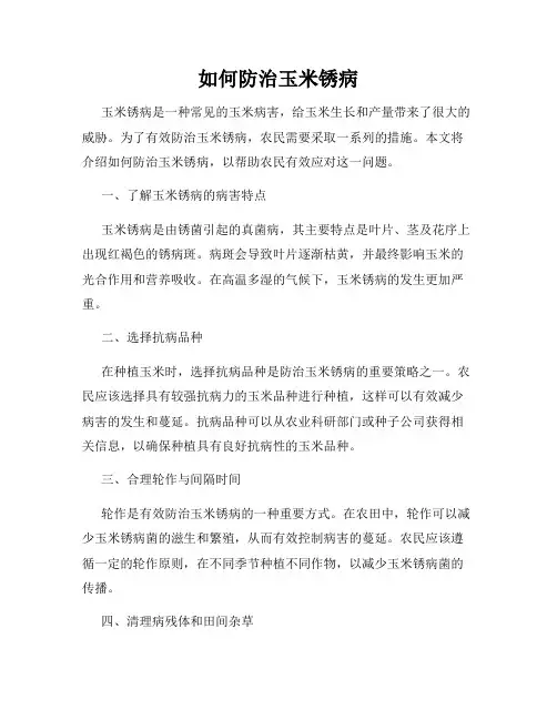 如何防治玉米锈病