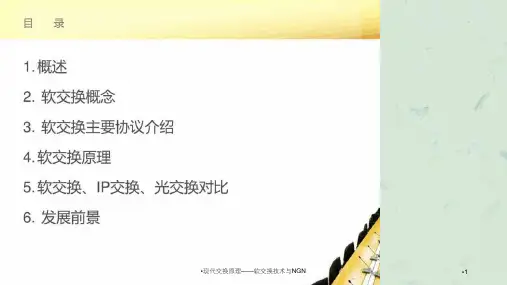 现代交换原理软交换技术与NGN课件