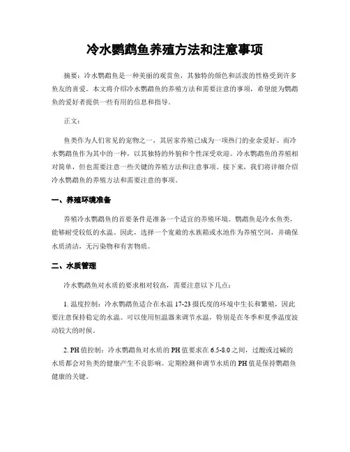 冷水鹦鹉鱼养殖方法和注意事项