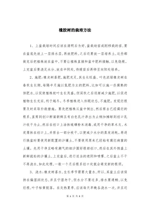 橡胶树的栽培方法