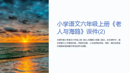 小学语文六年级上册《老人与海鸥》课件(2)