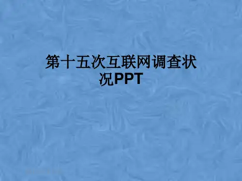 第十五次互联网调查状况PPT
