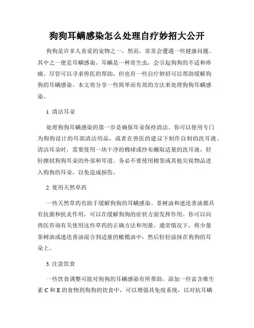 狗狗耳螨感染怎么处理自疗妙招大公开