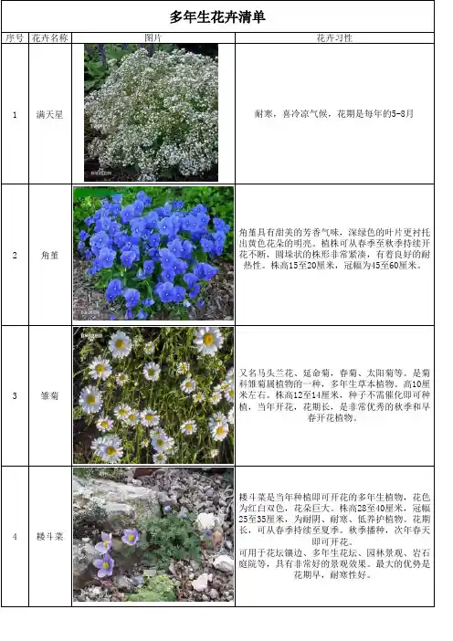 民宿30种室外多年生花卉