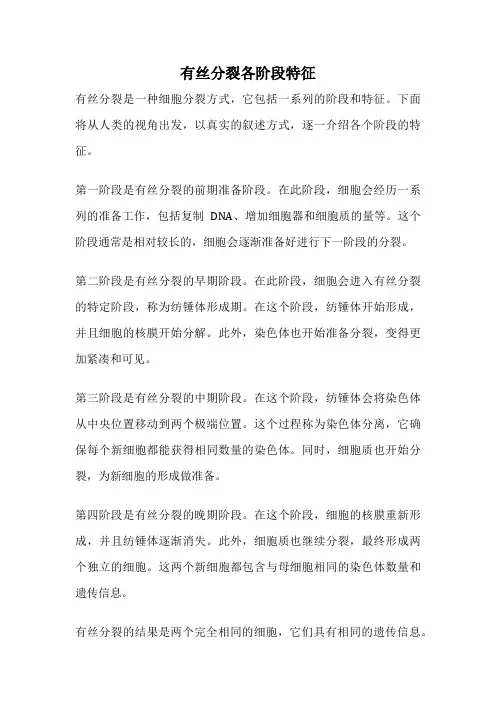 有丝分裂各阶段特征