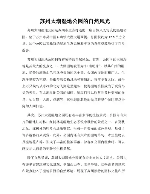 苏州太湖湿地公园的自然风光
