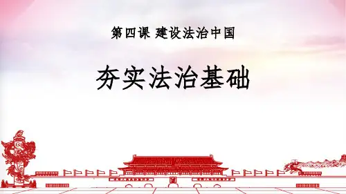 道德与法治-九年级(上册)-《夯实法治基础》