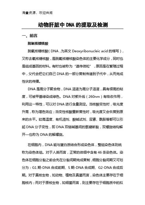 动物肝脏中DNA的提取及检测实验报告,DOC