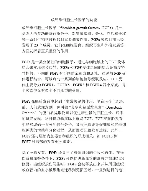 成纤维细胞生长因子的功能