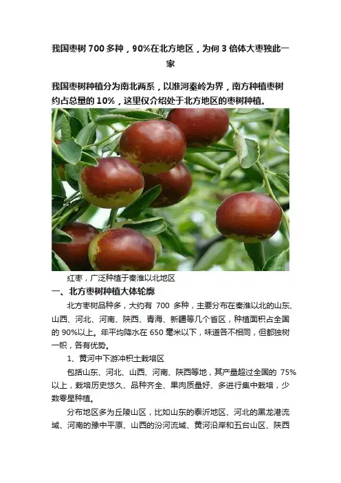 我国枣树700多种，90%在北方地区，为何3倍体大枣独此一家