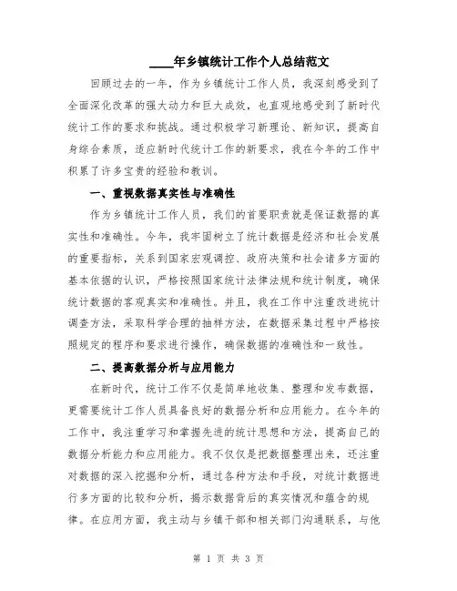 2024年乡镇统计工作个人总结范文
