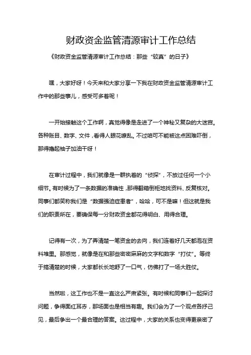 财政资金监管清源审计工作总结