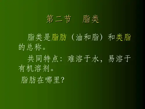 脂类碳水化合物
