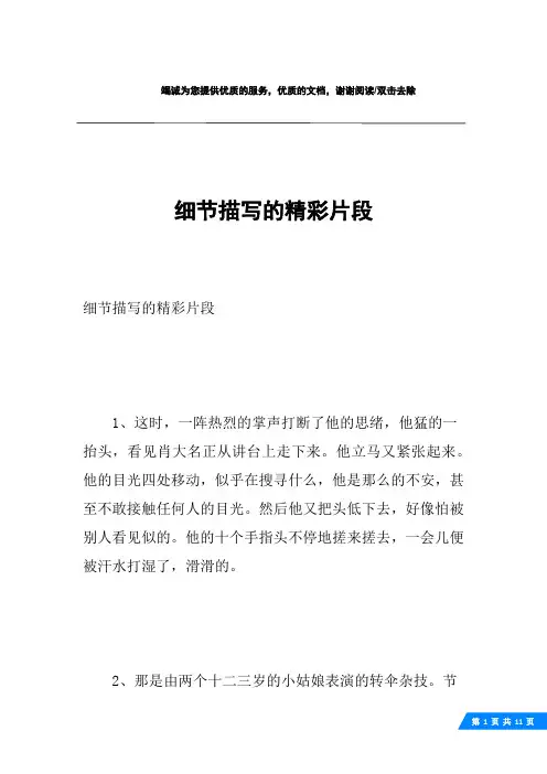 细节描写的精彩片段
