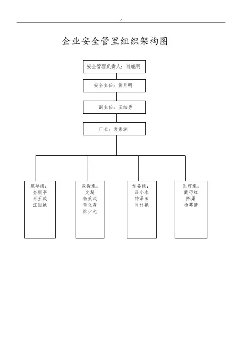 集团公司安全管理组织架构图