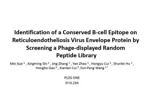 英文文献汇报
