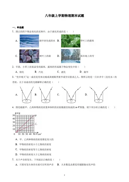山东省潍坊市八年级物理上册期末试题及答案