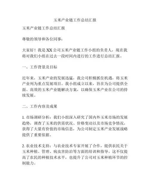 玉米产业链工作总结汇报