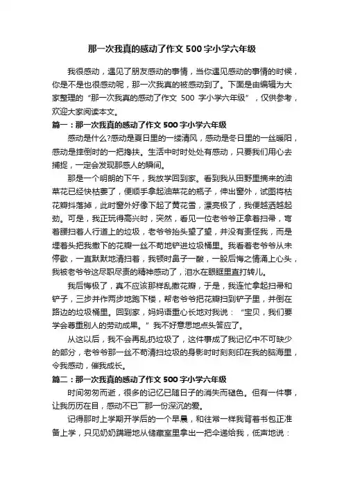 那一次我真的感动了作文500字小学六年级