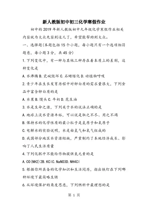 新人教版初中初三化学寒假作业