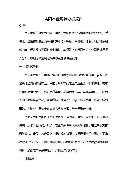 当阳产业现状分析报告