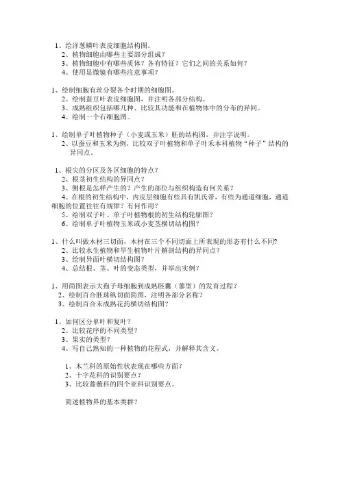 植物学实验作业