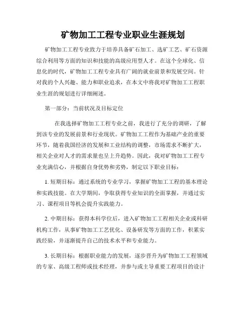 矿物加工工程专业职业生涯规划