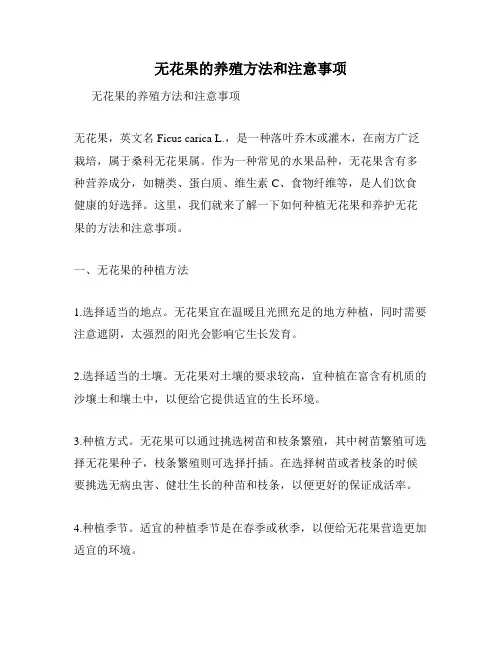 无花果的养殖方法和注意事项