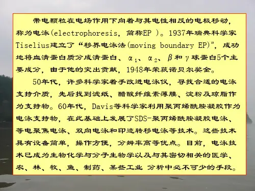电泳技术参考课件_PPT幻灯片