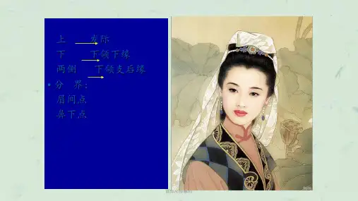 面部局部解剖课件