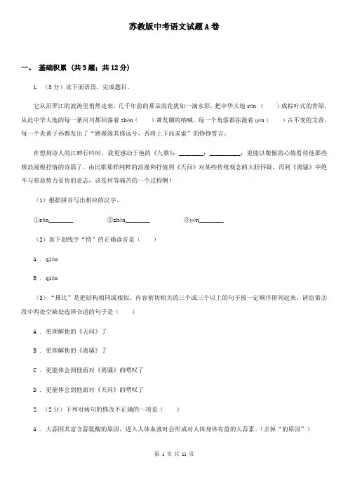 苏教版中考语文试题A卷