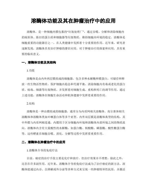 溶酶体功能及其在肿瘤治疗中的应用