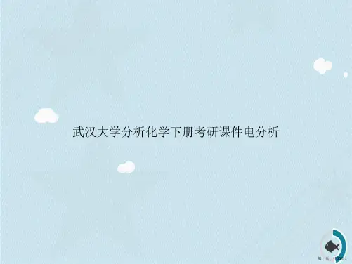 武汉大学分析化学下册考研电分析讲课文档