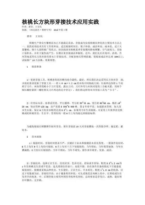 核桃长方块形芽接技术应用实践