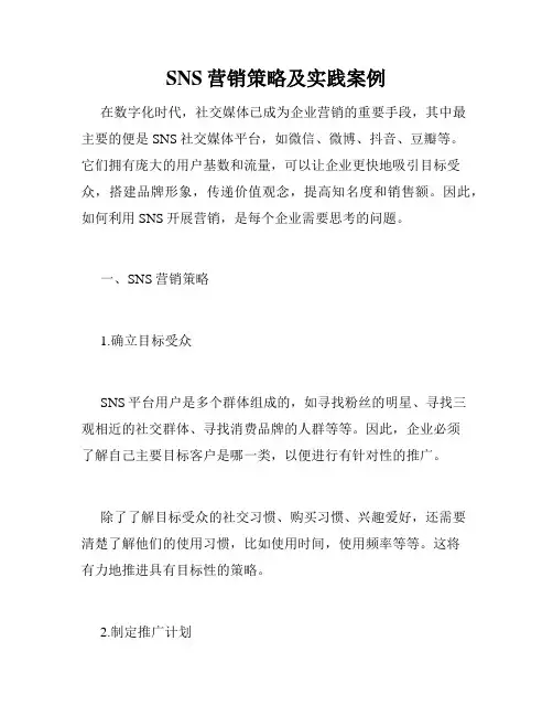 SNS营销策略及实践案例