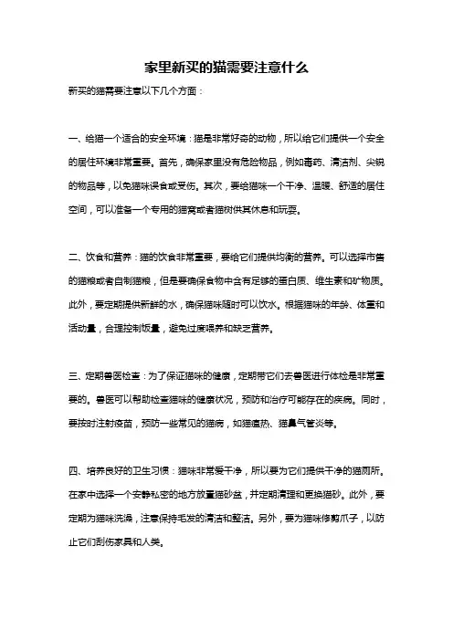 家里新买的猫需要注意什么