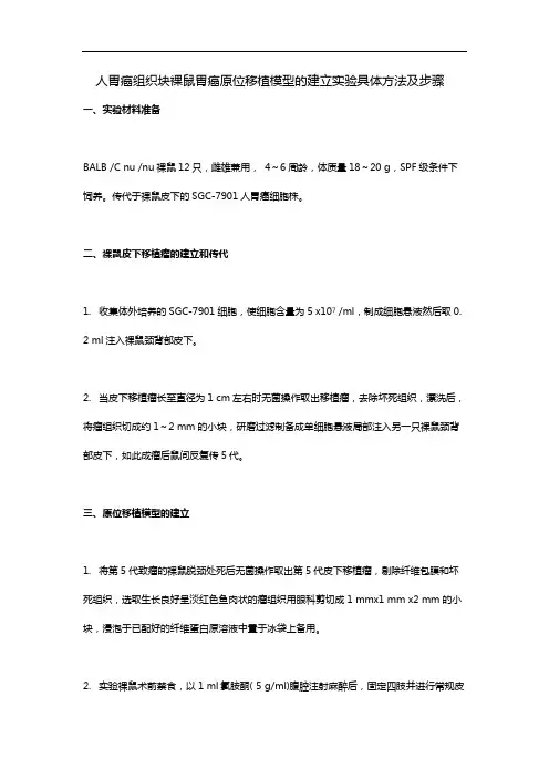 人胃癌组织块裸鼠胃癌原位移植模型的建立实验具体方法及步骤
