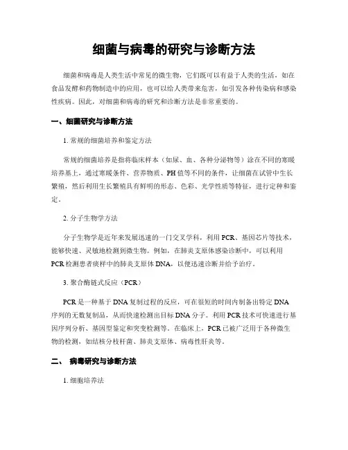 细菌与病毒的研究与诊断方法