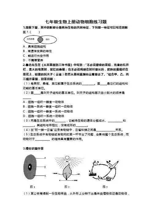 七年级生物上册动物细胞练习题