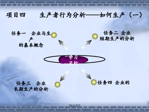 生产者行为分析ppt课件