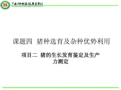 猪的生长发育鉴定及生产力测定